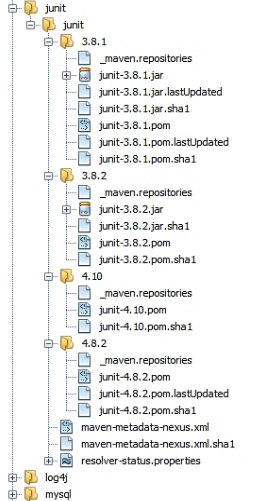 Auszug aus einem lokalen Repository