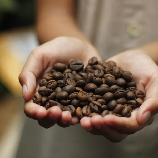 Eine Handvoll JAVA – Key Features der einzelnen Versionen