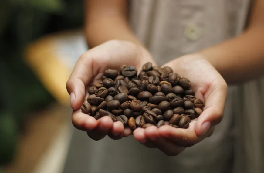 Eine Handvoll JAVA – Key Features der einzelnen Versionen