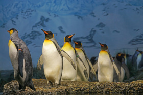 Understanding Linux: rediscovering the joy of technology