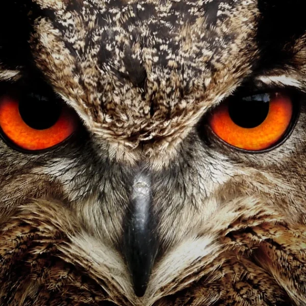 Apache Maven Master Class