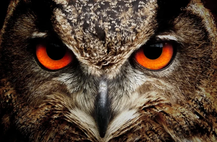 Apache Maven Master Class