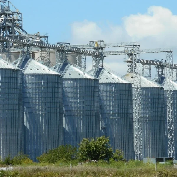 Databases: the choice of torture