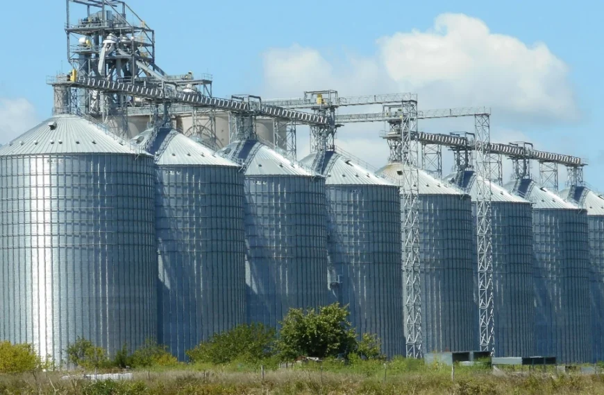 Databases: the choice of torture