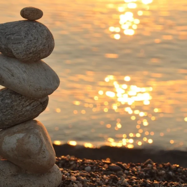 Vibe coding – a new plague of the internet?